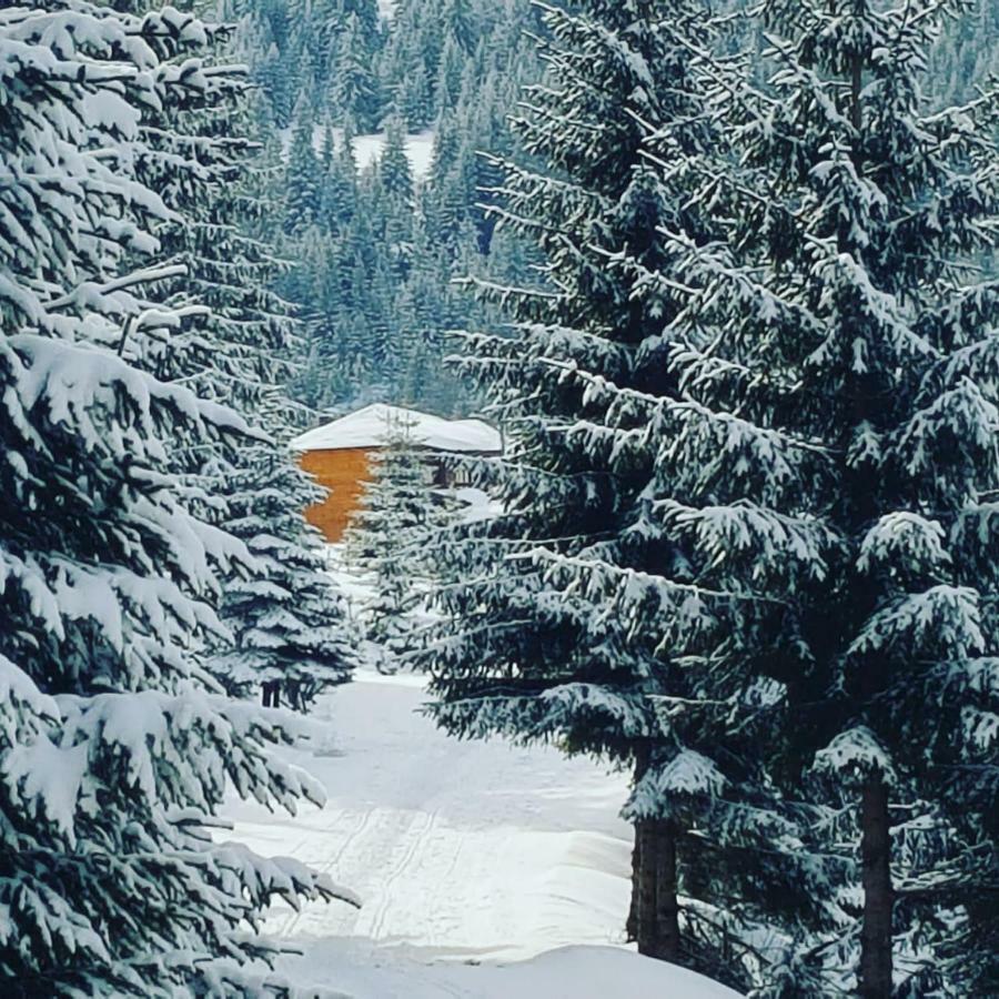 Resort Skrivena Berane Bagian luar foto